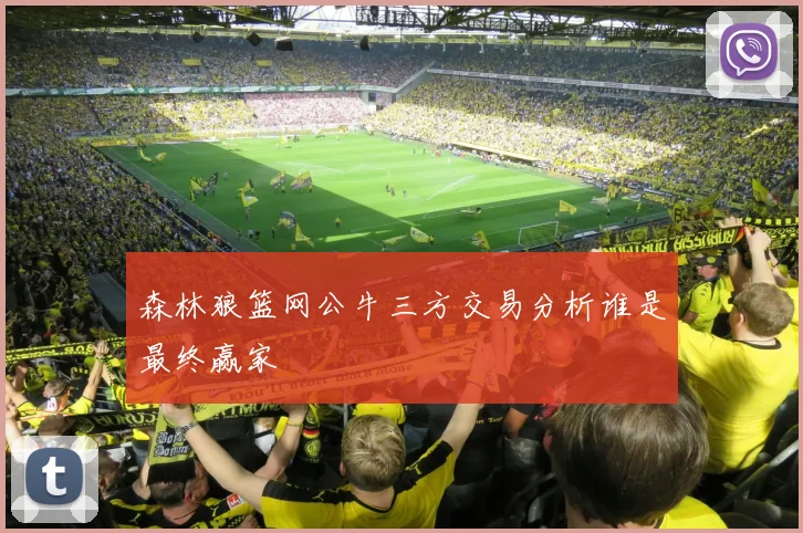 森林狼篮网公牛三方交易分析谁是最终赢家